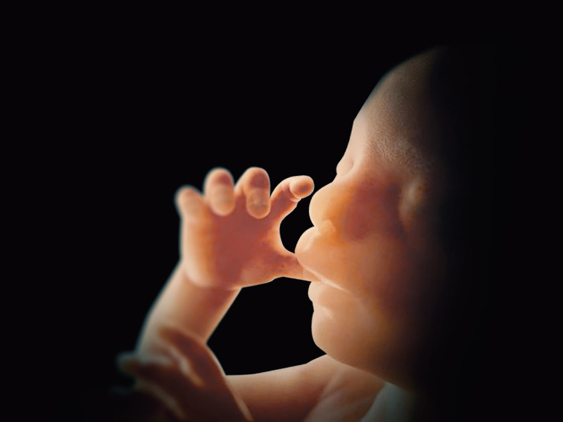 Abtreibung darf nicht Teil der Ärzteausbildung werden – Gewissensfreiheit verteidigen!