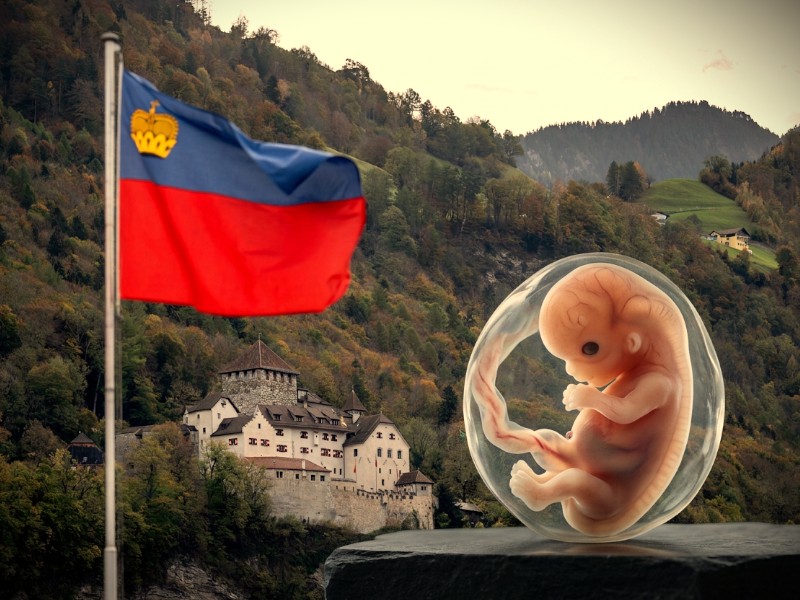 Abtreibung ist niemals ein Menschenrecht!